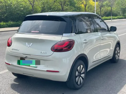2023 WuLing BinGuo BEV 31.9KWH