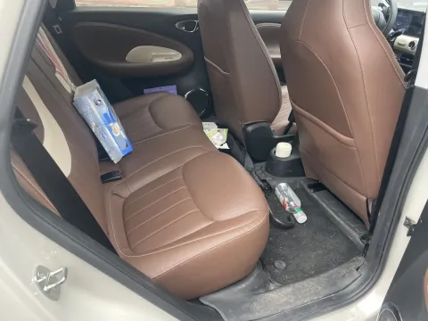 2023 WuLing BinGuo BEV 31.9KWH