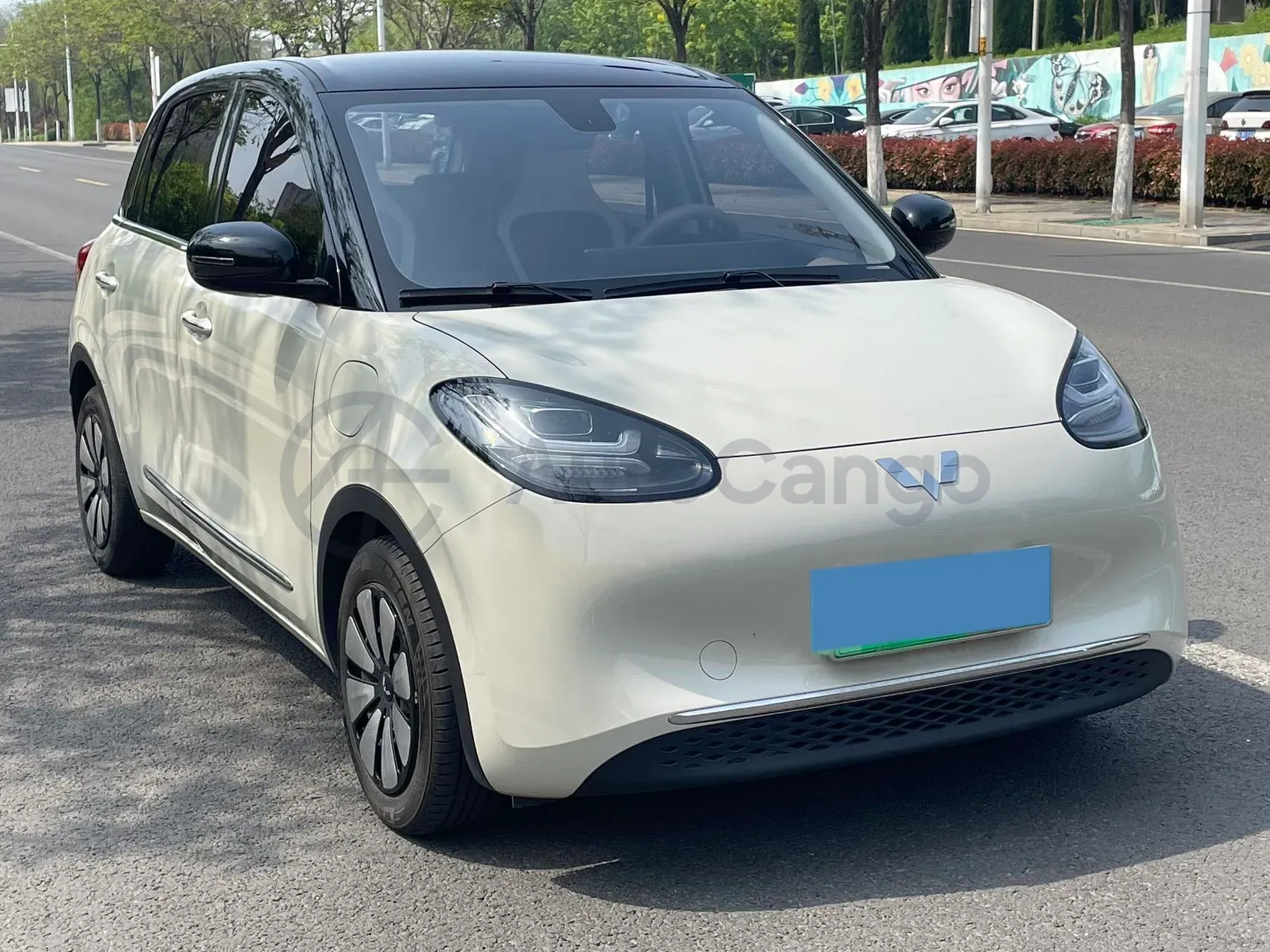 2023 WuLing BinGuo BEV 31.9KWH,autocango,china used car exporter,china ev exporter,chinese used car exporter,chinese used ev exporter