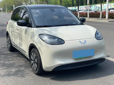 2023 WuLing BinGuo BEV 31.9KWH,autocango,china used car exporter,china ev exporter,chinese used car exporter,chinese used ev exporter