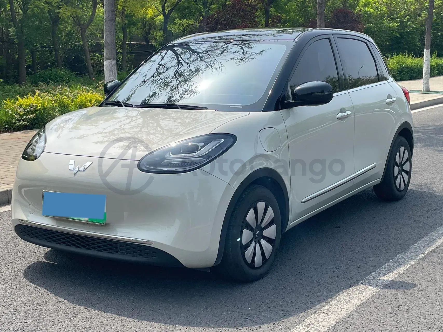 2023 WuLing BinGuo BEV 31.9KWH,autocango,china used car exporter,china ev exporter,chinese used car exporter,chinese used ev exporter