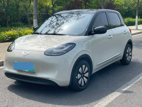 2023 WuLing BinGuo BEV 31.9KWH,autocango,china used car exporter,china ev exporter,chinese used car exporter,chinese used ev exporter