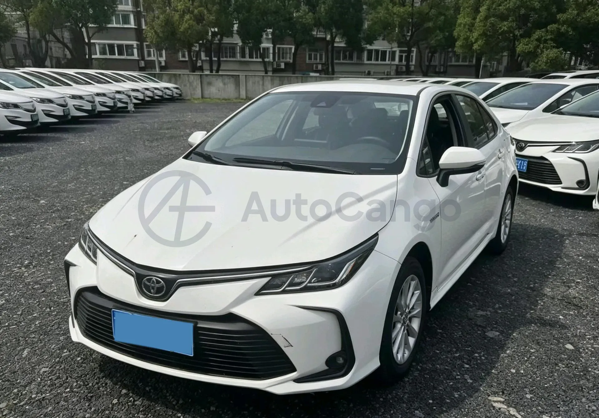 2022 Toyota Corolla 1.2T 116HP L4 CVT,autocango,china used car exporter,china ev exporter,chinese used car exporter,chinese used ev exporter