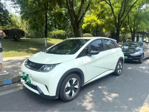 2024 BYD DOLPHIN,autocango,china used car exporter,china ev exporter,chinese used car exporter,chinese used ev exporter