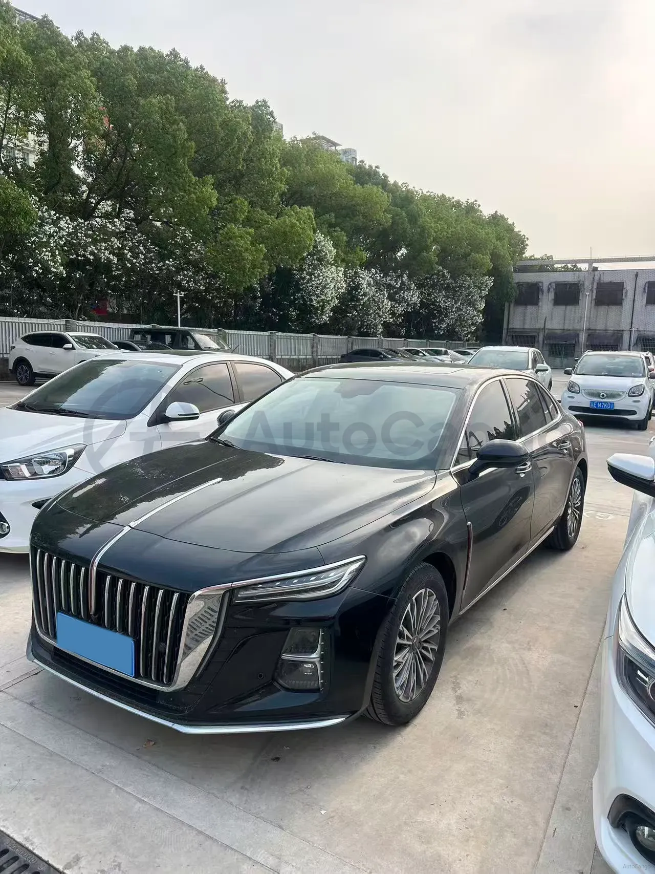 2024 HongQi H5 1.5T 169HP L4 7DCT,autocango,china used car exporter,china ev exporter,chinese used car exporter,chinese used ev exporter