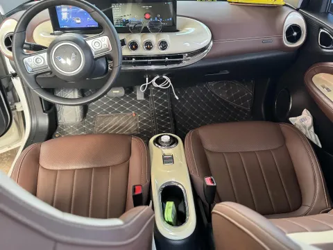 2024 WuLing YangGuang BEV 31.9KWH,autocango,china used car exporter,china ev exporter,chinese used car exporter,chinese used ev exporter