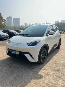 2025 BYD SEAGULL,autocango,china used car exporter,china ev exporter,chinese used car exporter,chinese used ev exporter
