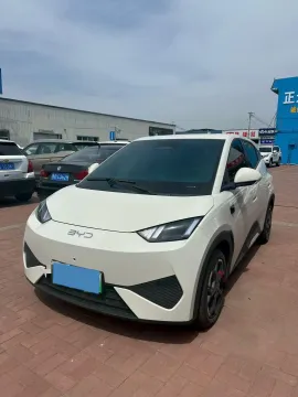 2025 BYD SEAGULL,autocango,china used car exporter,china ev exporter,chinese used car exporter,chinese used ev exporter