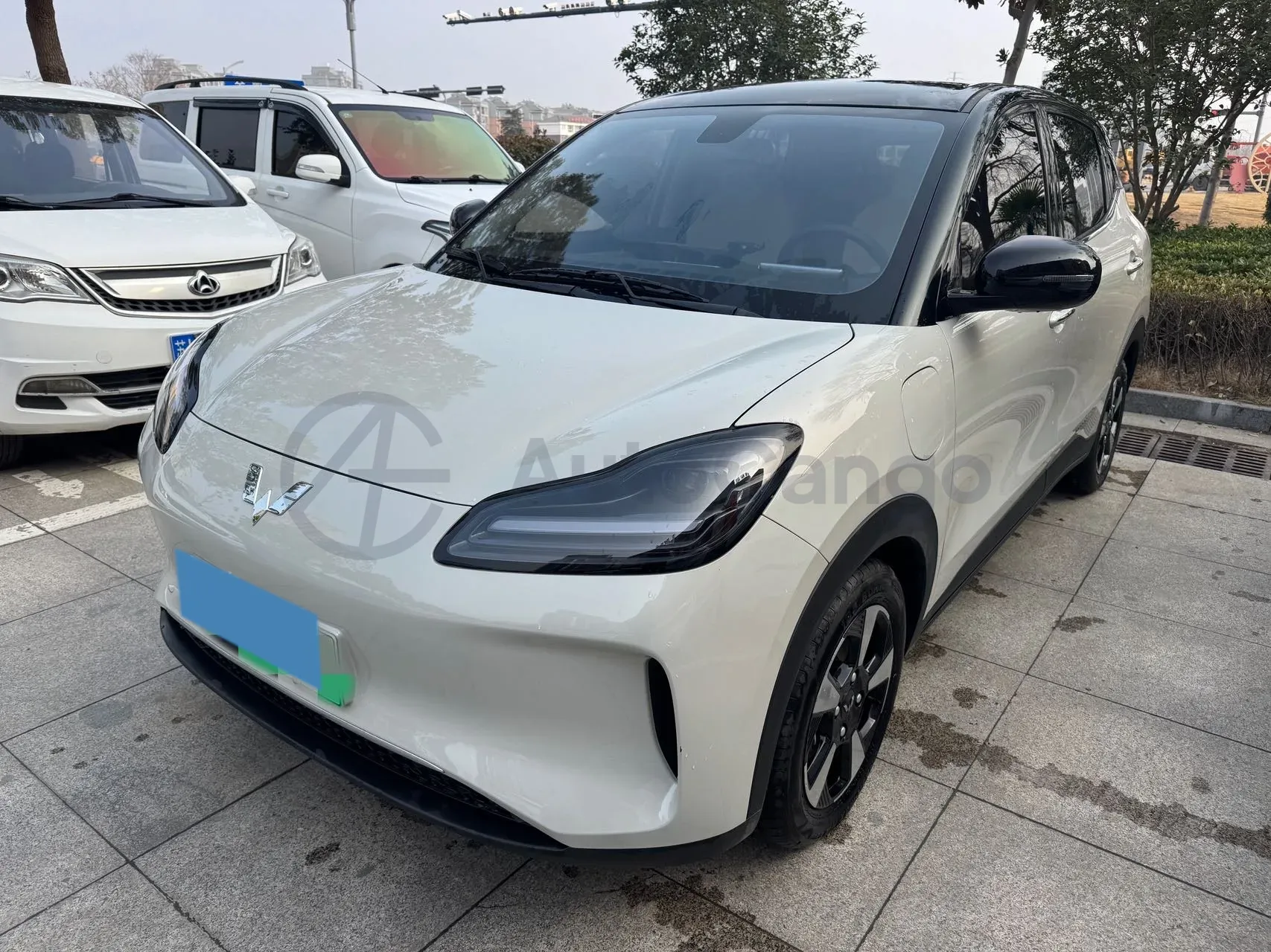 2024 WuLing BinGuoPLUS BEV 31.9KWH,autocango,china used car exporter,china ev exporter,chinese used car exporter,chinese used ev exporter