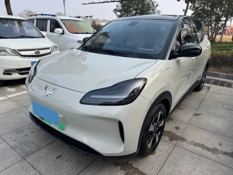 2024 WuLing BinGuoPLUS BEV 31.9KWH,autocango,china used car exporter,china ev exporter,chinese used car exporter,chinese used ev exporter