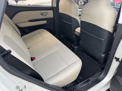 2024 WuLing BinGuoPLUS BEV 31.9KWH