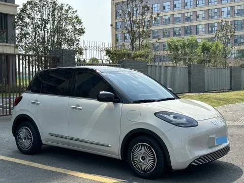 2023 WuLing BinGuo BEV 37.9KWH,autocango,china used car exporter,china ev exporter,chinese used car exporter,chinese used ev exporter