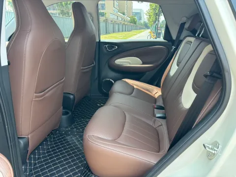 2023 WuLing BinGuo BEV 37.9KWH