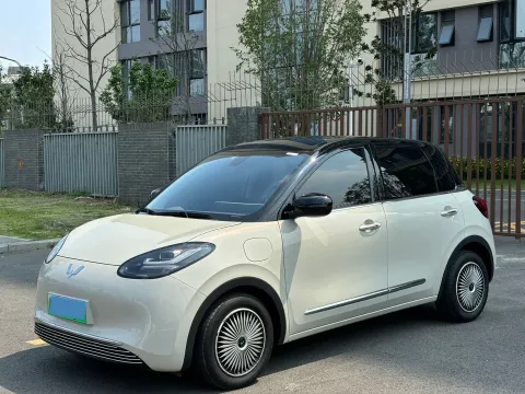 2023 WuLing BinGuo BEV 37.9KWH,autocango,china used car exporter,china ev exporter,chinese used car exporter,chinese used ev exporter