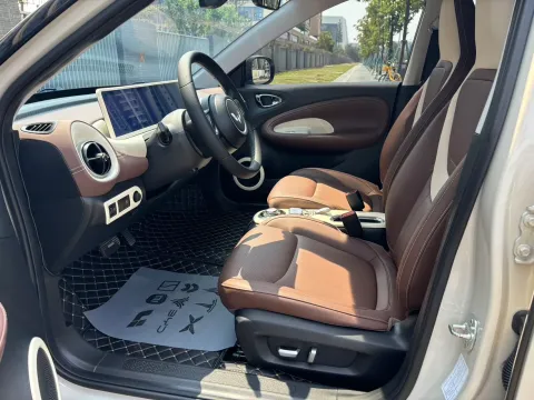 2023 WuLing BinGuo BEV 37.9KWH,autocango,china used car exporter,china ev exporter,chinese used car exporter,chinese used ev exporter