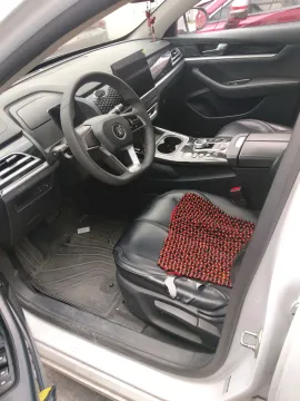 2021 DongFeng FuKang e Elysee BEV 38.4KWH