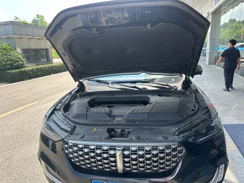 2021 WEY VV6 2.0T 227HP L4 7DCT