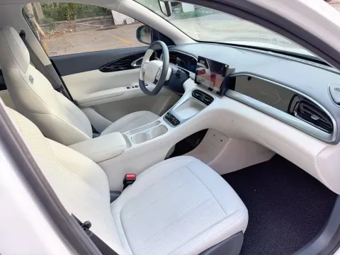 2025 WuLing BinGuo S BEV