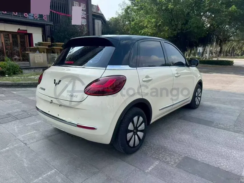 2024 WuLing BinGuo BEV 31.9KWH,autocango,china used car exporter,china ev exporter,chinese used car exporter,chinese used ev exporter