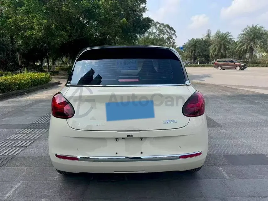 2024 WuLing BinGuo BEV 31.9KWH,autocango,china used car exporter,china ev exporter,chinese used car exporter,chinese used ev exporter