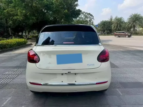 2024 WuLing BinGuo BEV 31.9KWH