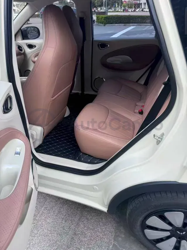 2024 WuLing BinGuo BEV 31.9KWH,autocango,china used car exporter,china ev exporter,chinese used car exporter,chinese used ev exporter