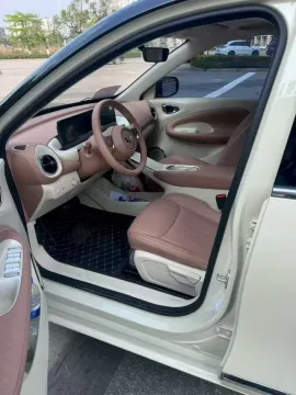 2024 WuLing BinGuo BEV 31.9KWH,autocango,china used car exporter,china ev exporter,chinese used car exporter,chinese used ev exporter