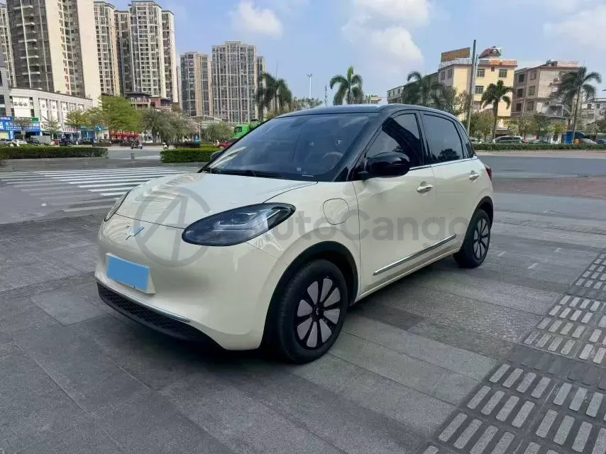 2024 WuLing BinGuo BEV 31.9KWH,autocango,china used car exporter,china ev exporter,chinese used car exporter,chinese used ev exporter