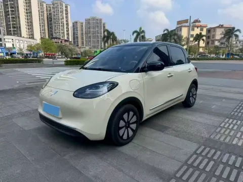 2024 WuLing BinGuo BEV 31.9KWH,autocango,china used car exporter,china ev exporter,chinese used car exporter,chinese used ev exporter