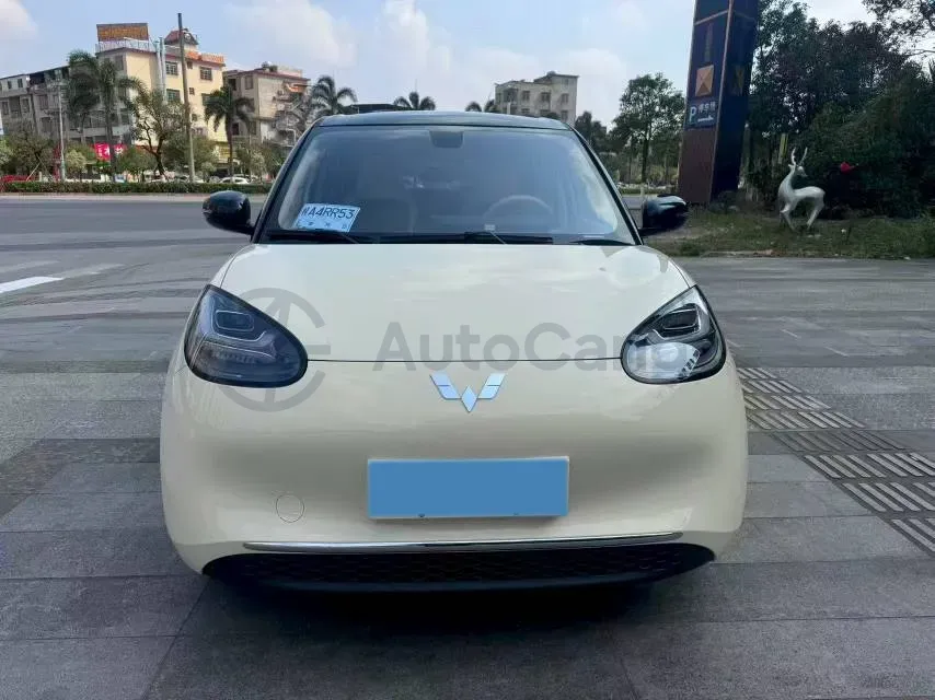 2024 WuLing BinGuo BEV 31.9KWH,autocango,china used car exporter,china ev exporter,chinese used car exporter,chinese used ev exporter