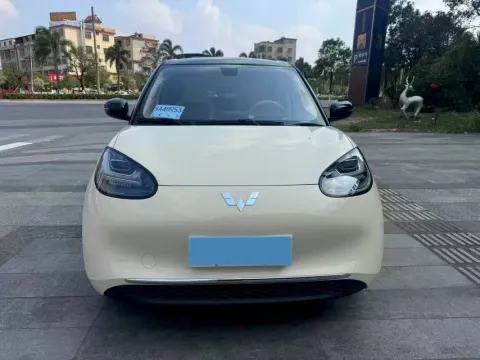 2024 WuLing BinGuo BEV 31.9KWH,autocango,china used car exporter,china ev exporter,chinese used car exporter,chinese used ev exporter