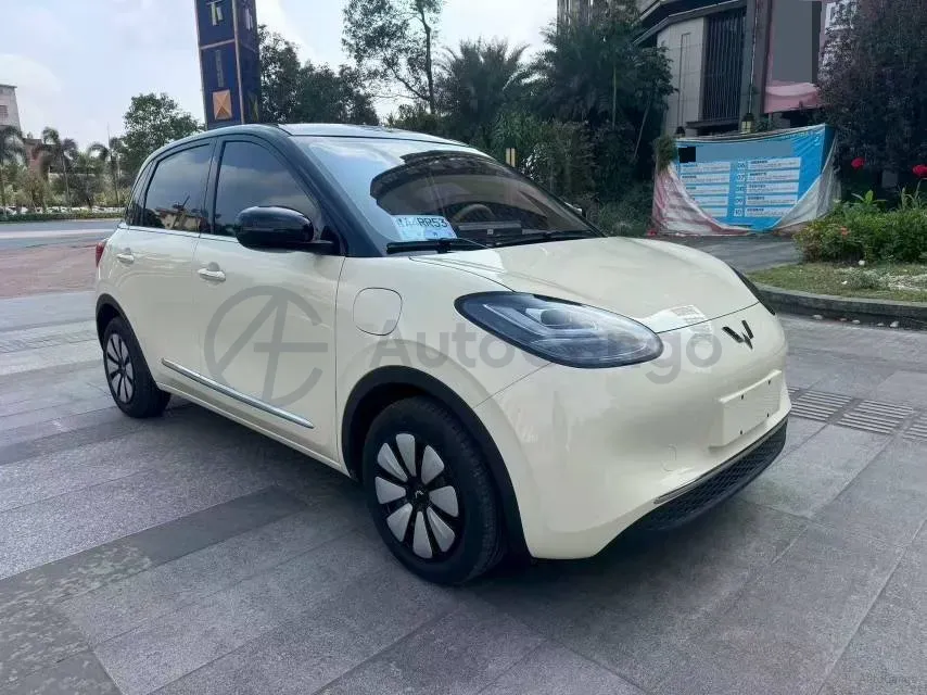 2024 WuLing BinGuo BEV 31.9KWH,autocango,china used car exporter,china ev exporter,chinese used car exporter,chinese used ev exporter