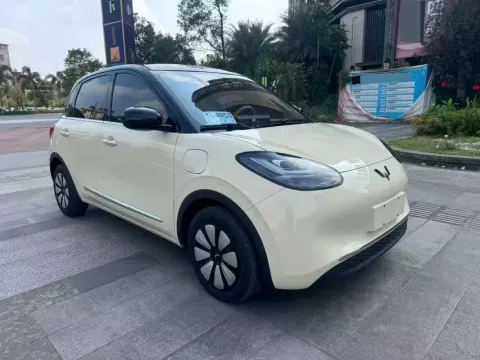 2024 WuLing BinGuo BEV 31.9KWH,autocango,china used car exporter,china ev exporter,chinese used car exporter,chinese used ev exporter