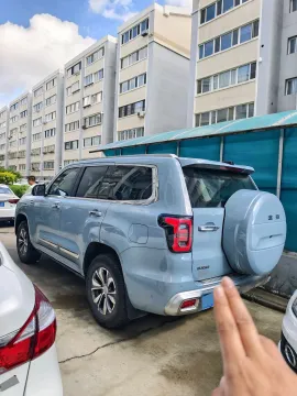 2022 Beijing BJ60 2.0T 267HP L4 8AT