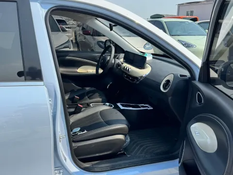 2024 WuLing BinGuo BEV 37.9KWH