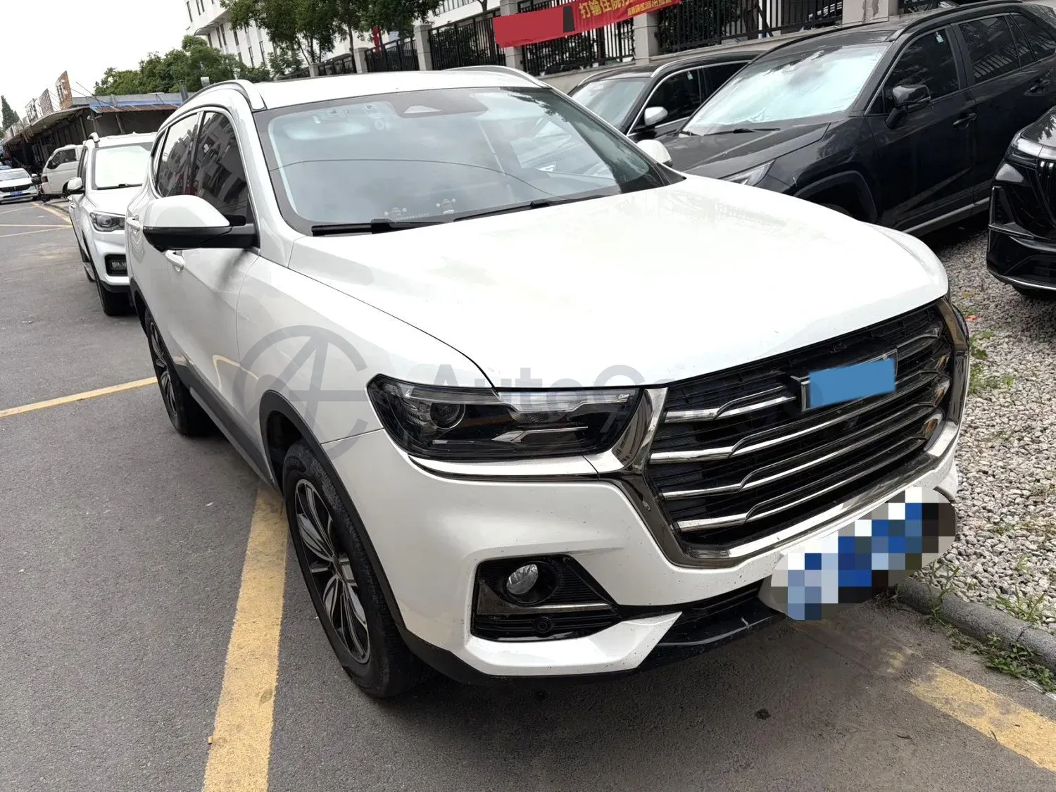 2021 Haval H6 1.5T 169HP L4 7DCT,autocango,china used car exporter,china ev exporter,chinese used car exporter,chinese used ev exporter