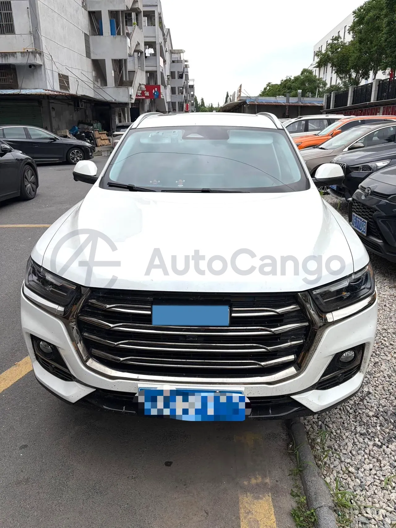 2021 Haval H6 1.5T 169HP L4 7DCT,autocango,china used car exporter,china ev exporter,chinese used car exporter,chinese used ev exporter