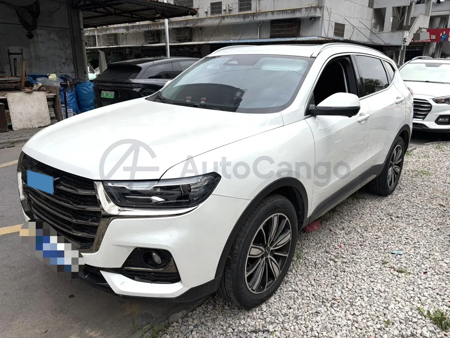 2021 Haval H6 1.5T 169HP L4 7DCT,autocango,china used car exporter,china ev exporter,chinese used car exporter,chinese used ev exporter