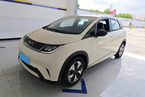 2025 BYD DOLPHIN,autocango,china used car exporter,china ev exporter,chinese used car exporter,chinese used ev exporter