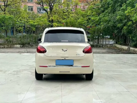 2024 WuLing BinGuo BEV 31.9KWH