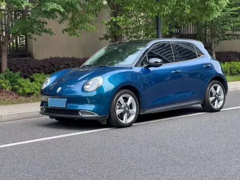 2021 ORA FUNKYCAT,autocango,china used car exporter,china ev exporter,chinese used car exporter,chinese used ev exporter
