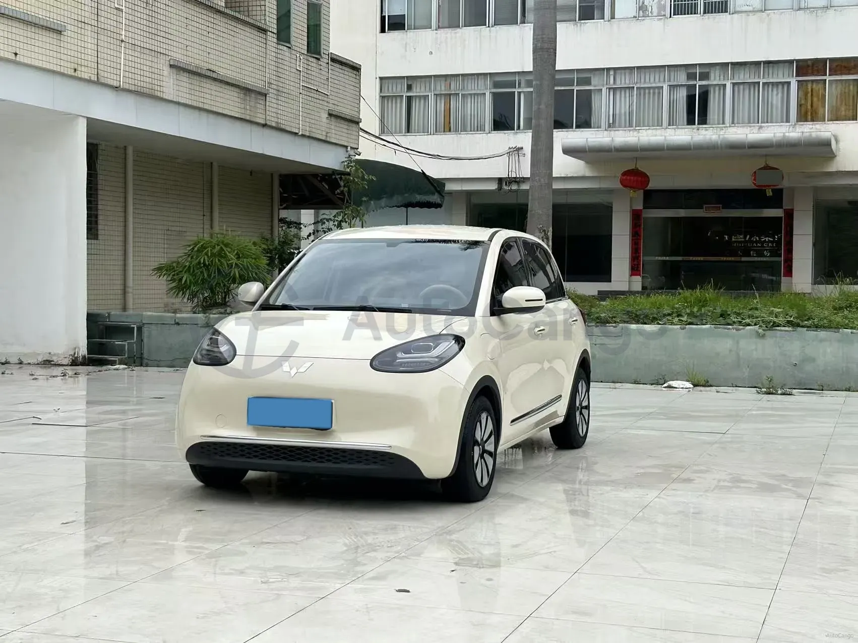 2024 WuLing BinGuo BEV 31.9KWH,autocango,china used car exporter,china ev exporter,chinese used car exporter,chinese used ev exporter