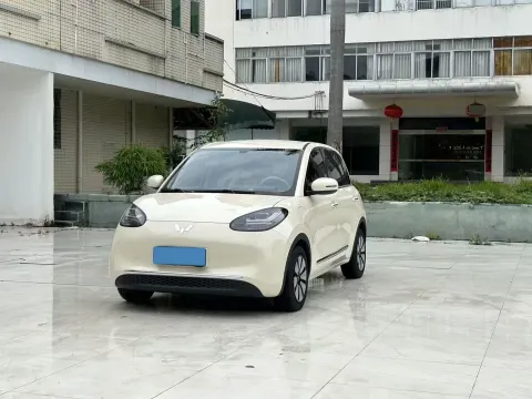2024 WuLing BinGuo BEV 31.9KWH,autocango,china used car exporter,china ev exporter,chinese used car exporter,chinese used ev exporter