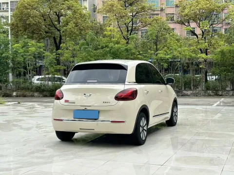 2024 WuLing BinGuo BEV 31.9KWH