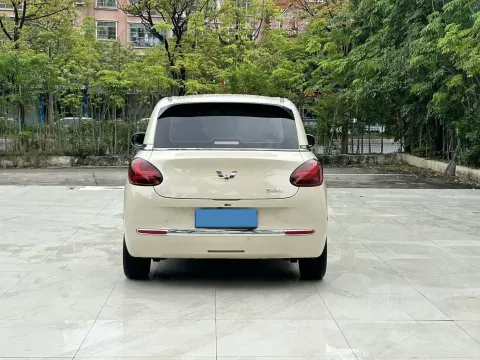 2024 WuLing BinGuo BEV 31.9KWH