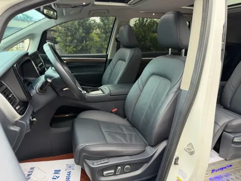 2021 GAC Trumpchi M8 2.0T 252HP L4 8AT