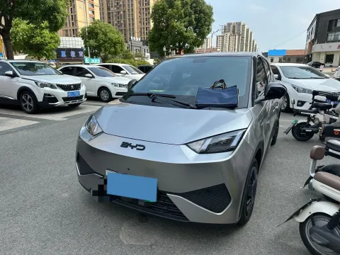 2025 BYD SEAGULL,autocango,china used car exporter,china ev exporter,chinese used car exporter,chinese used ev exporter
