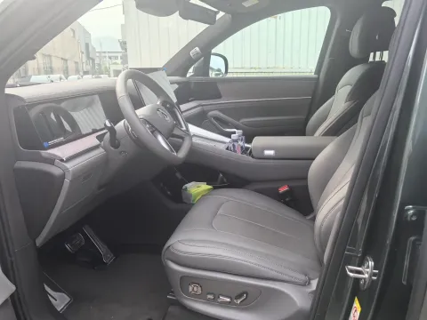 2025 Denza DenzaN9 2.0T 207HP L4 E-CVT PHEV