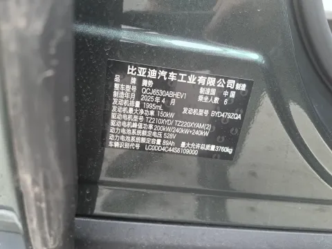 2025 Denza DenzaN9 2.0T 207HP L4 E-CVT PHEV
