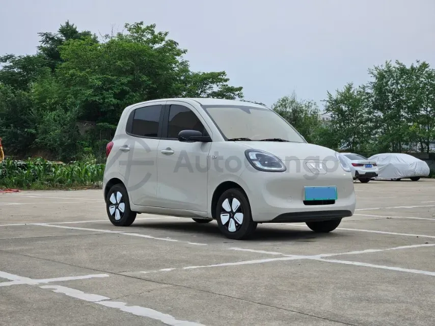 2025 WuLing HongGuang MINI EV BEV 16.2KWH,autocango,china used car exporter,china ev exporter,chinese used car exporter,chinese used ev exporter